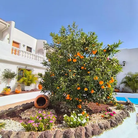 Cristianos - Breathtaking View, Ac, Heated Pool, Fibre Net Appartamento
