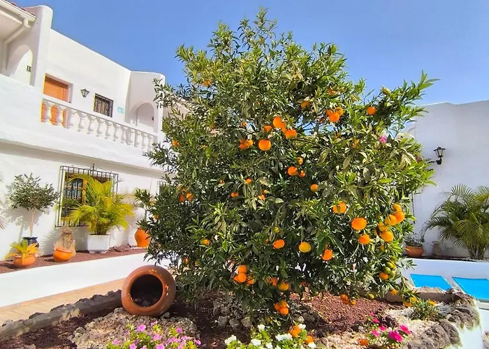 Cristianos - Breathtaking View, Ac, Heated Pool, Fibre Net アパート